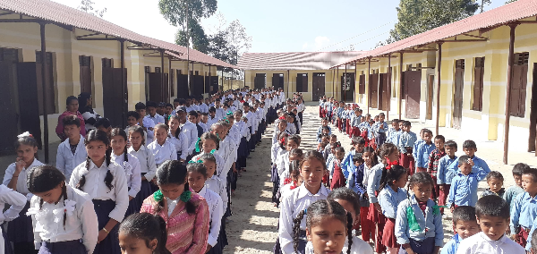 About the School
